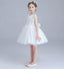 Ivory Round Neck Lace Tulle Flower Girl Dresses, Zip up Cute Little Girl Dresses, FGY0140