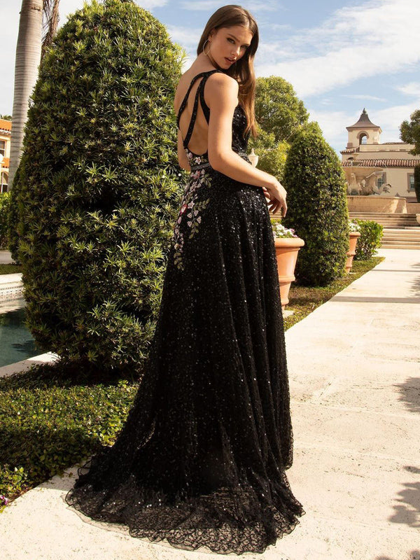 Gorgeous V-neck A-line Tulle Appliques Black Long Prom Dresses PDS0310