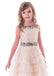 Unique Lace Blue Tea-length A-line Flower Girl Dresses With Beadings ,FGY0159