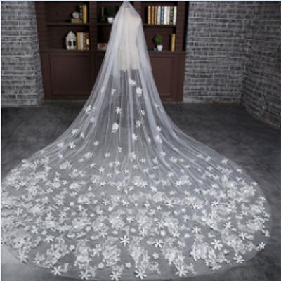 Elegant Long Lace Applique Wedding Veil For Wedding Party, WV0104