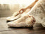 Sweet Princess Lace Pointed Toes Wedding Bridal Shoes With Handmade Flower, SY0138