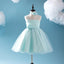 Cute Tiffany Blue Spaghetti Tulle Satin Flower Girl Dresses, Cheap Popular Little Girl Dresses, FGY0112