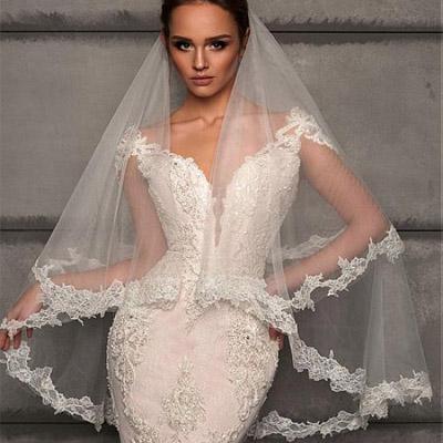 Charming Delicate Tulle Wedding Veil With Lace Appliques For Wedding Party, WV0108